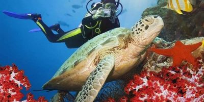 18308849_1249983361785973_1495713306_n