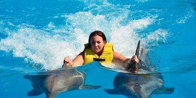 swimming-with-dolphins2